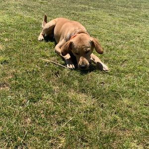 Meet your Posher, Gabriella